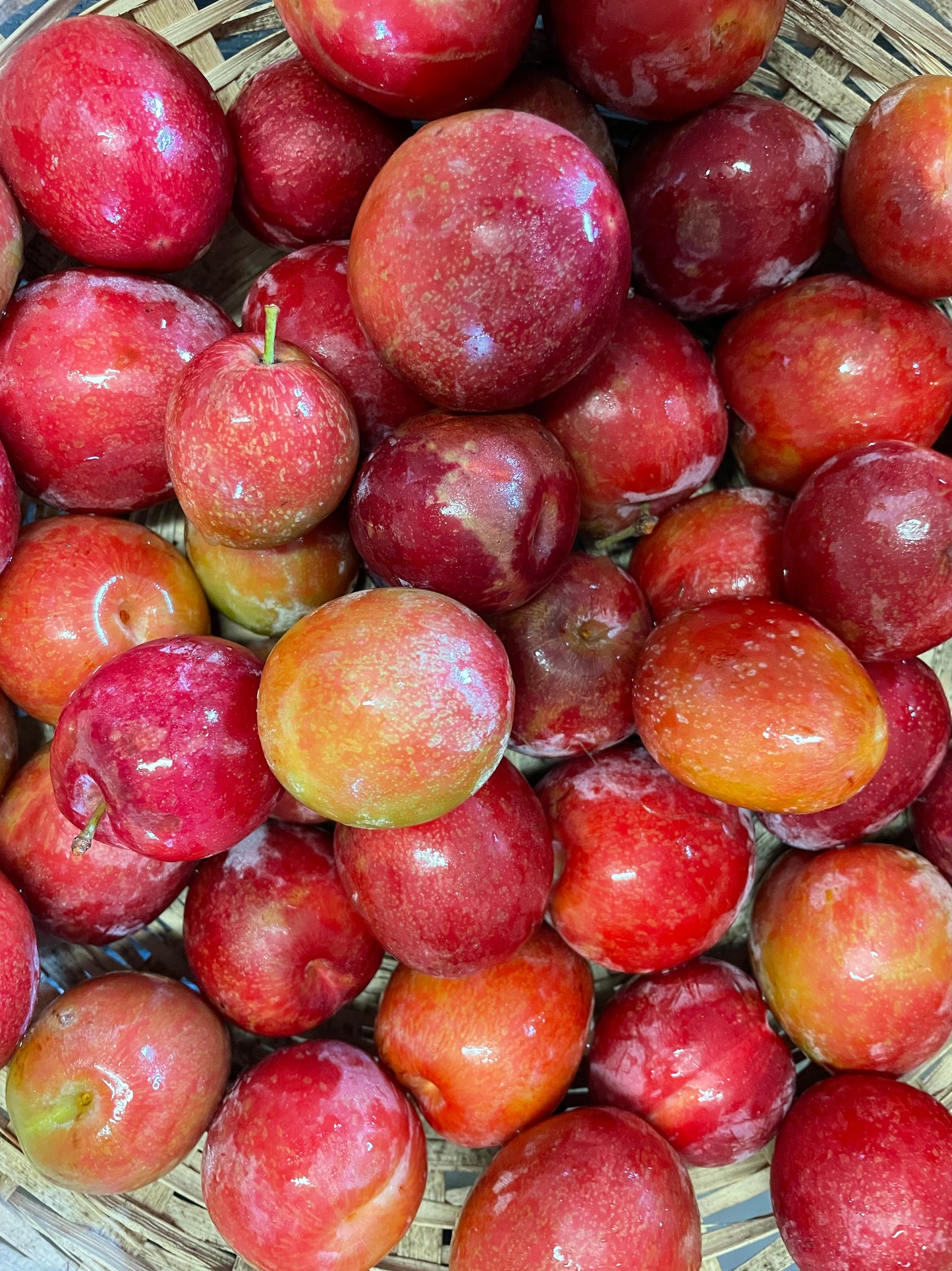 organic vegetables / little farms