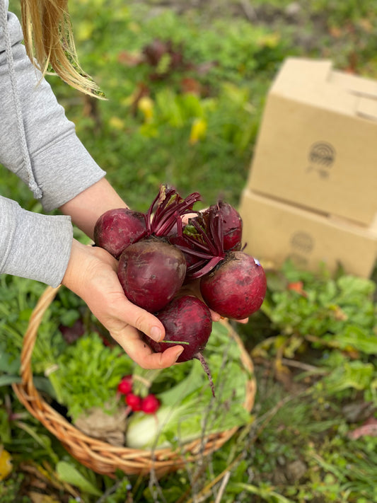 organic vegetables / little farms