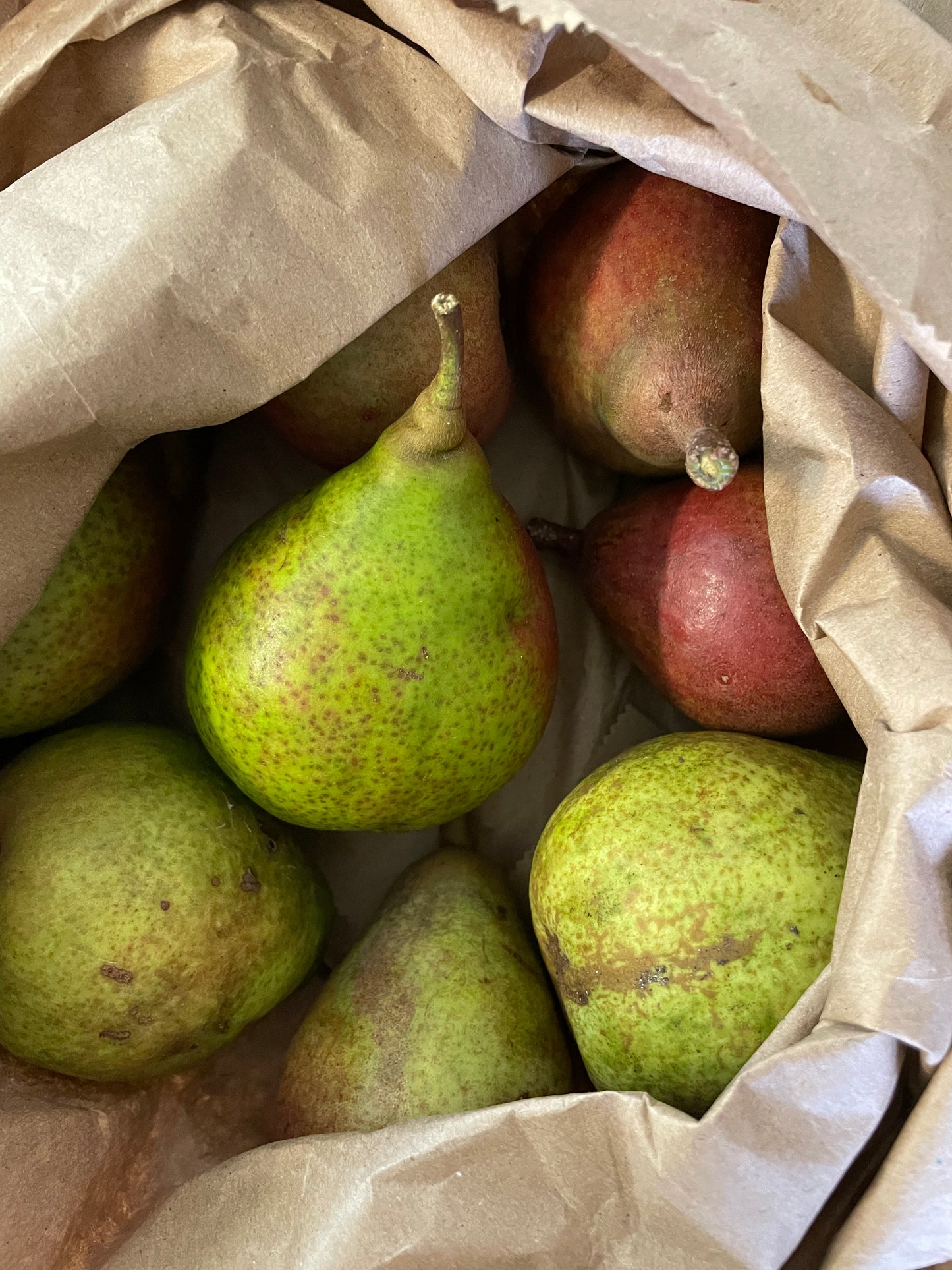 Organic Belle De Jumet pears (1kg)