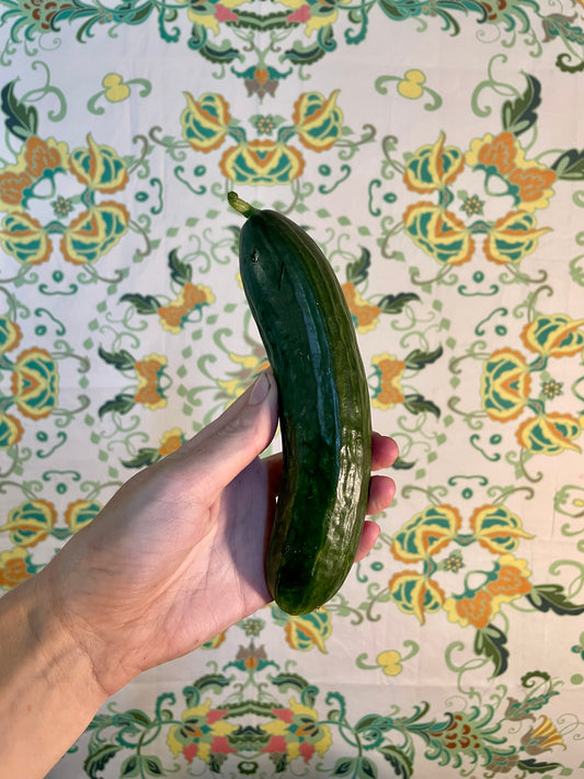 Organic cucumber