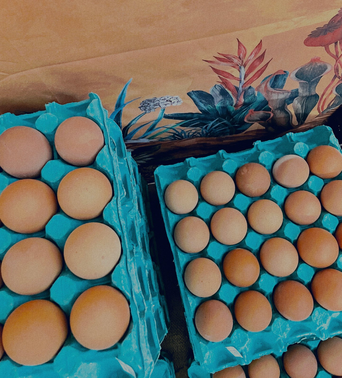 Free Range Eggs 20pk (The uglies)