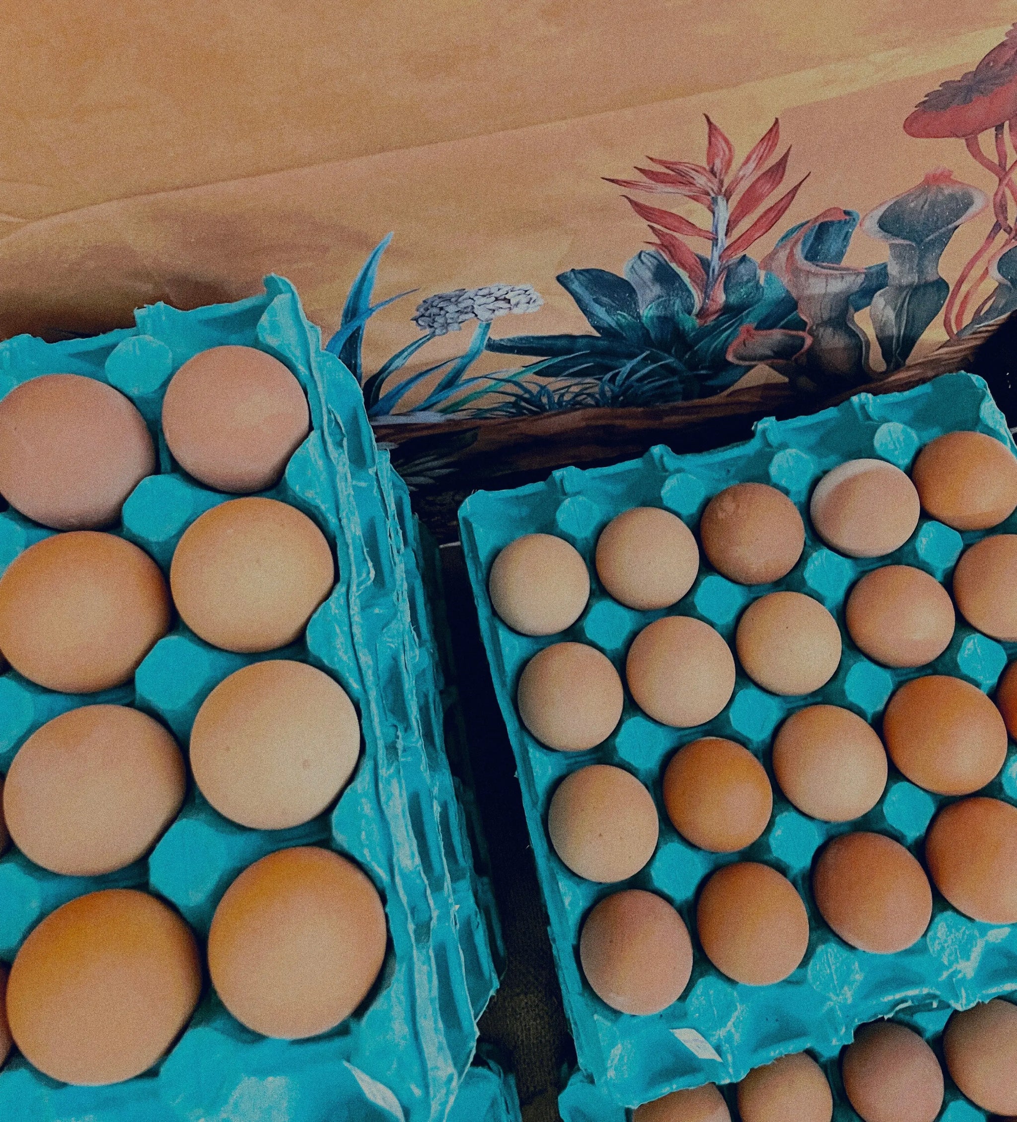 Free Range Eggs 20pk (The uglies) Little Farms NZ