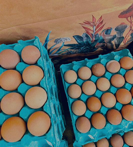 Free Range Eggs 20pk (The uglies) - subscription only