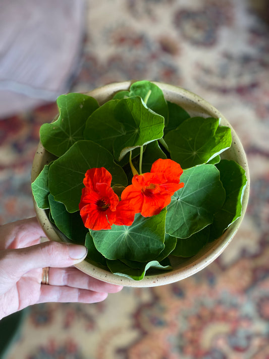 organic vegetables / little farms