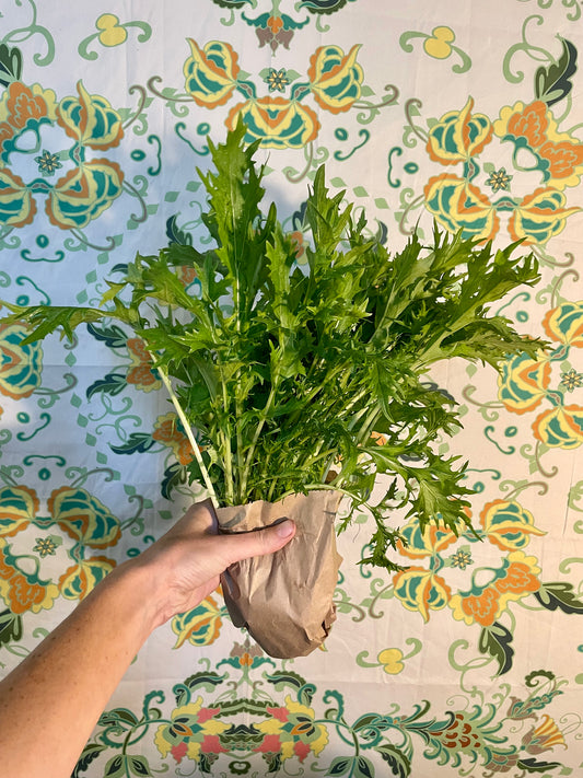 organic vegetables / little farms