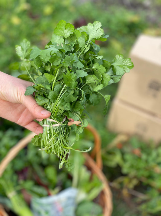 organic vegetables / little farms